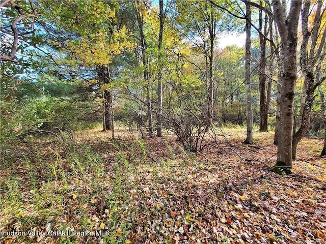 00 Kaufman Rd, Monticello, NY 12701 - photo 22