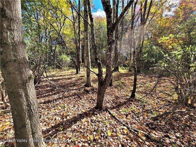 00 Kaufman Rd, Monticello, NY 12701 - photo 23