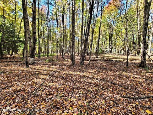 00 Kaufman Rd, Monticello, NY 12701 - photo 31