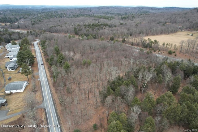 00 Kaufman Rd, Monticello, NY 12701 - photo 12