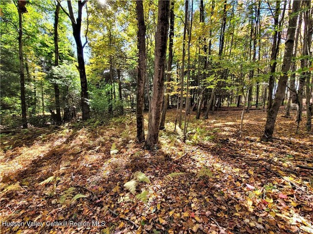 00 Kaufman Rd, Monticello, NY 12701 - photo 29