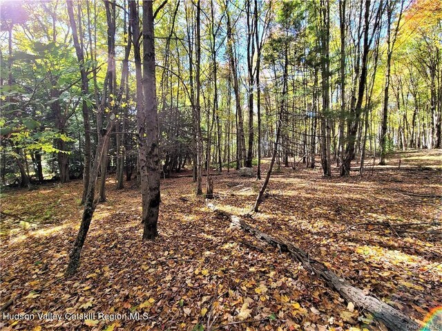 00 Kaufman Rd, Monticello, NY 12701 - photo 30