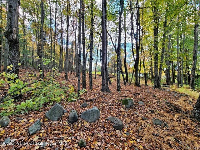 00 Kaufman Rd, Monticello, NY 12701 - photo 21