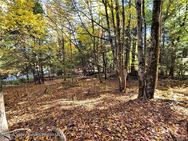 00 Kaufman Rd, Monticello, NY 12701 - photo 33