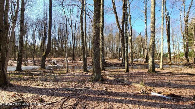 00 Kaufman Rd, Monticello, NY 12701 - photo 16