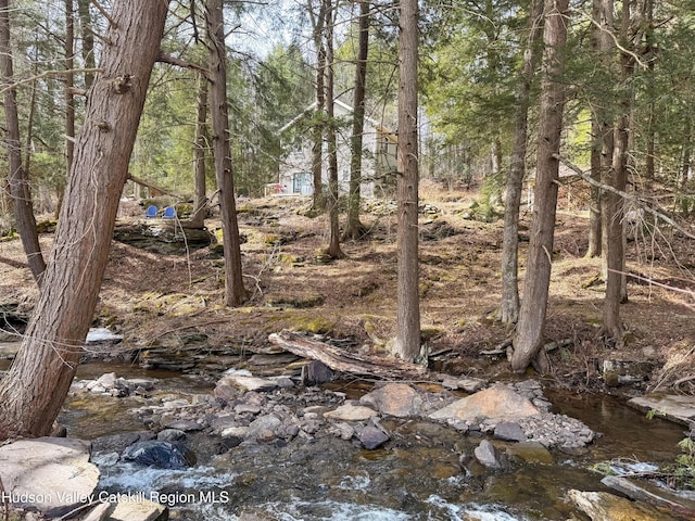 view of local wilderness