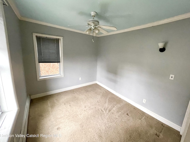 195 N St, Kingston, NY 12401 - photo 5