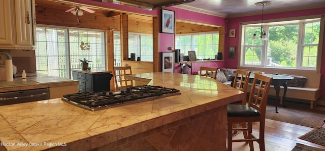 5320 Rte 23, Windham, NY 12496 - kitchen with appliances with stainless steel finishes, ornamental molding, pendant lighting, light wood-type flooring, and tile counters
