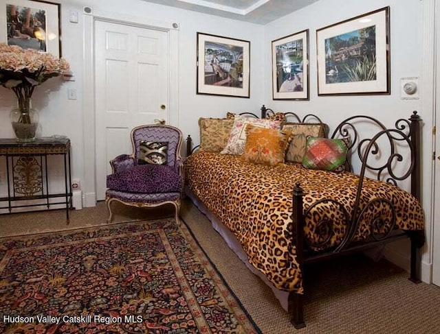 5320 Rte 23, Windham, NY 12496 - view of carpeted bedroom