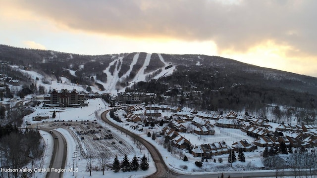 5320 Rte 23, Windham, NY 12496 - mountain view