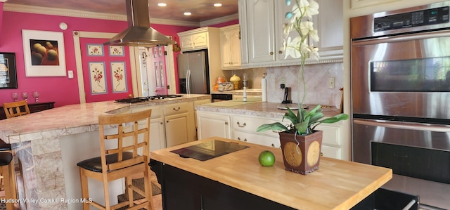 5320 Rte 23, Windham, NY 12496 - kitchen featuring appliances with stainless steel finishes, island exhaust hood, a kitchen island, tasteful backsplash, and a kitchen bar
