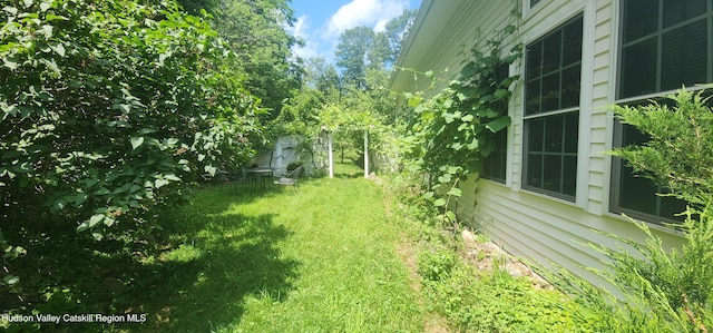 5320 Rte 23, Windham, NY 12496 - view of grassy yard