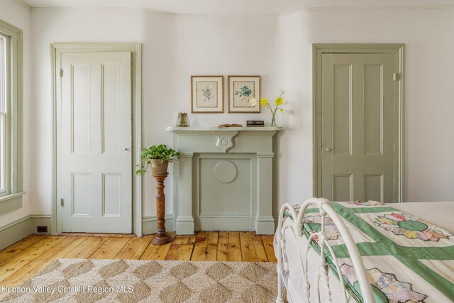 225 Robinson St, Hudson, NY 12534 - bedroom featuring light wood-style flooring