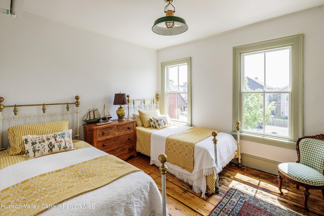 225 Robinson St, Hudson, NY 12534 - bedroom featuring multiple windows and hardwood / wood-style flooring