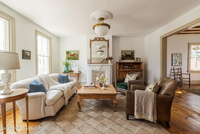 225 Robinson St, Hudson, NY 12534 - living room with hardwood / wood-style flooring