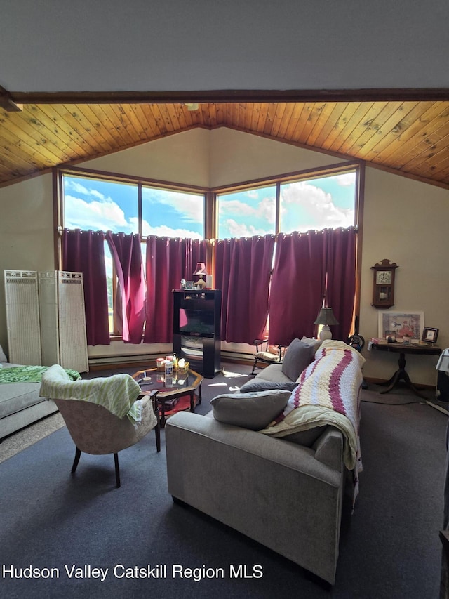 1534 Brownell Rd, Bloomville, NY 13739 - photo 6