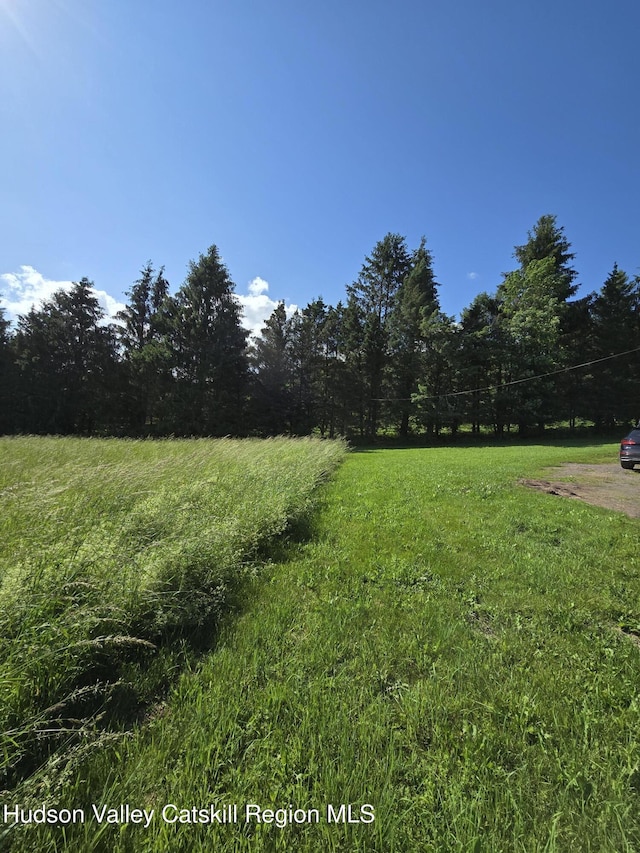 1534 Brownell Rd, Bloomville, NY 13739 - photo 25