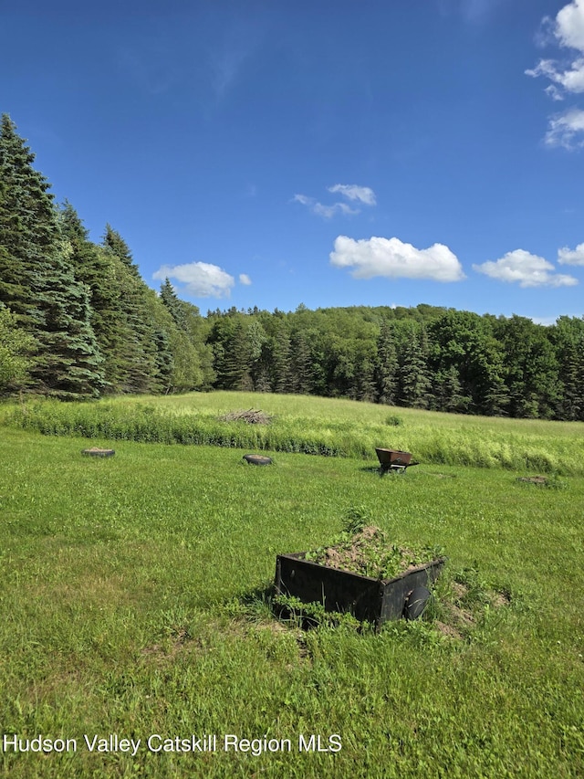 1534 Brownell Rd, Bloomville, NY 13739 - photo 26