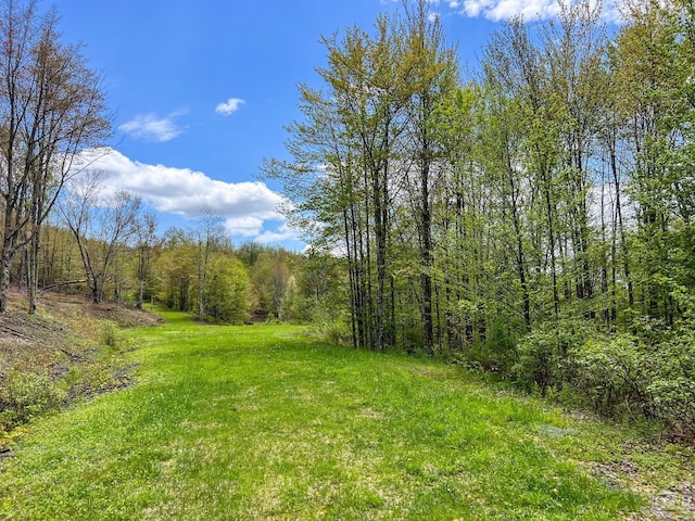 0 State Highway 28, Andes, NY 13731 - photo 24