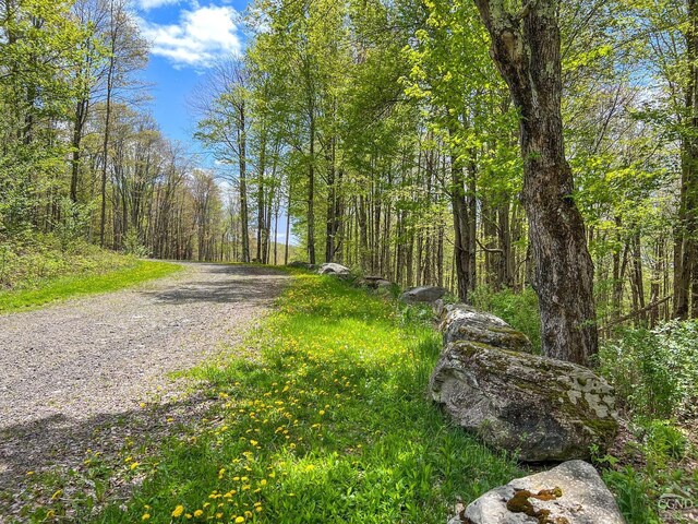 0 State Highway 28, Andes, NY 13731 - photo 17