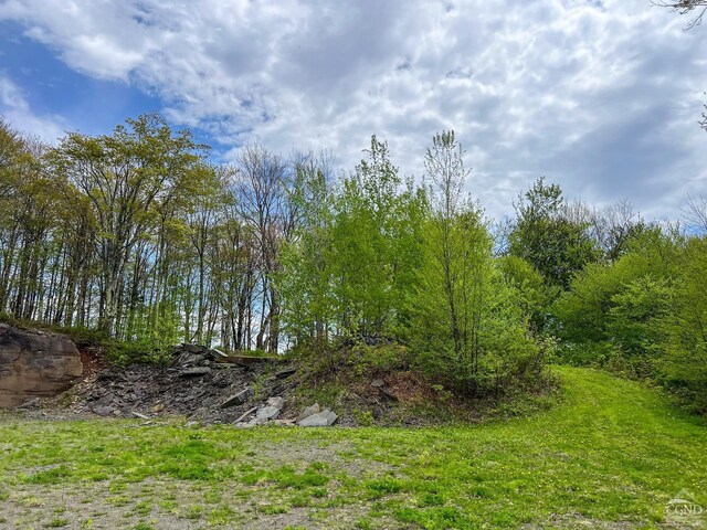 0 State Highway 28, Andes, NY 13731 - photo 48