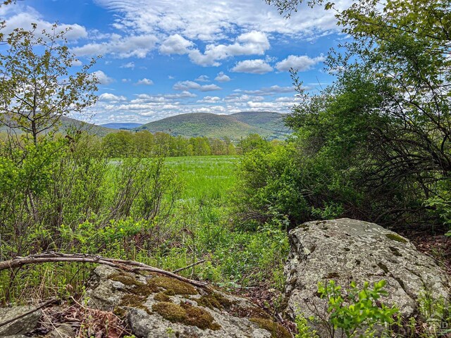 0 State Highway 28, Andes, NY 13731 - photo 55