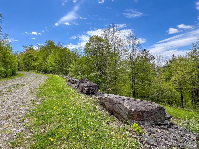 0 State Highway 28, Andes, NY 13731 - photo 12