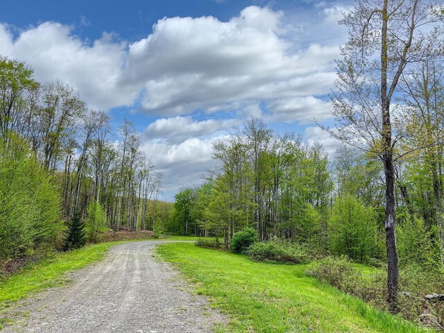 0 State Highway 28, Andes, NY 13731 - photo 67