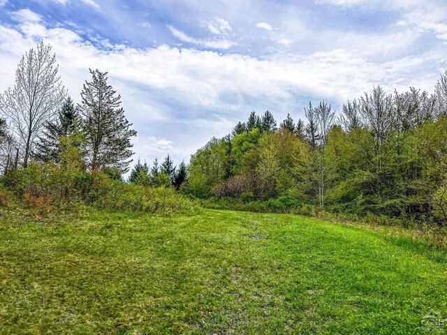 0 State Highway 28, Andes, NY 13731 - photo 63