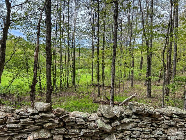0 State Highway 28, Andes, NY 13731 - photo 35