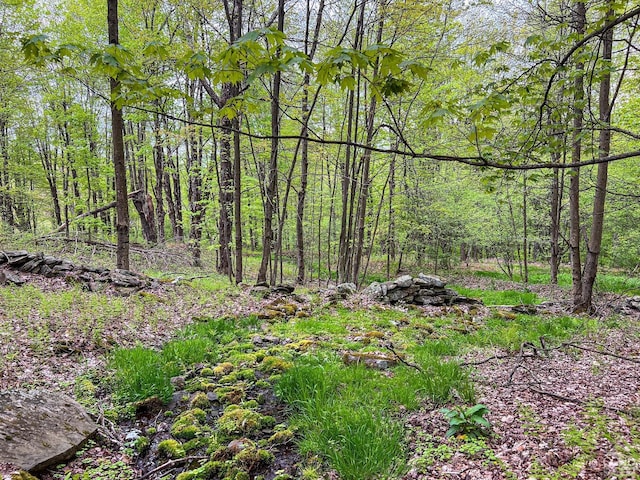 0 State Highway 28, Andes, NY 13731 - photo 88
