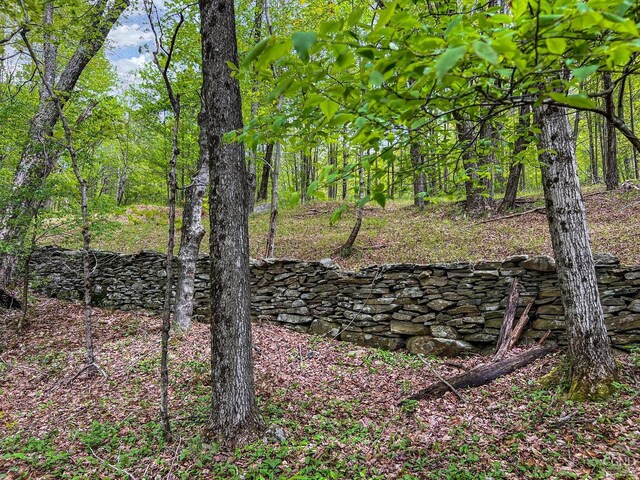 0 State Highway 28, Andes, NY 13731 - photo 33