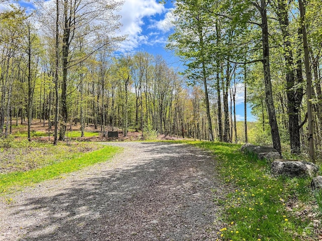 0 State Highway 28, Andes, NY 13731 - photo 19