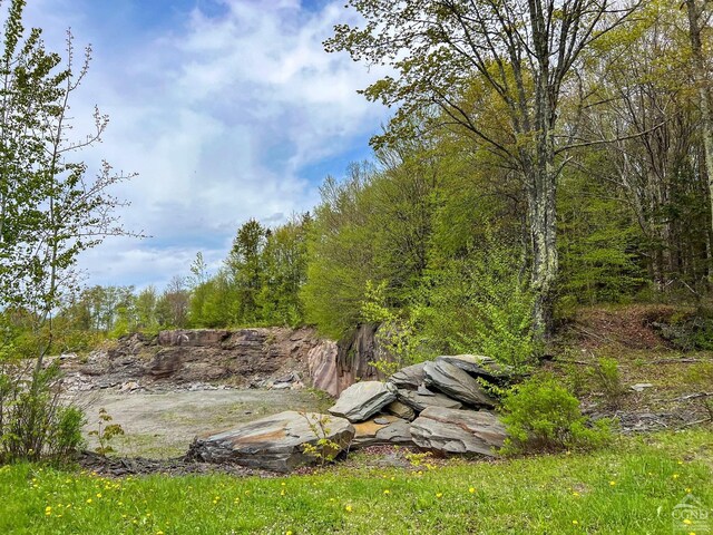 0 State Highway 28, Andes, NY 13731 - photo 52