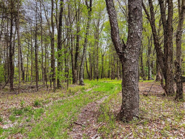 0 State Highway 28, Andes, NY 13731 - photo 60