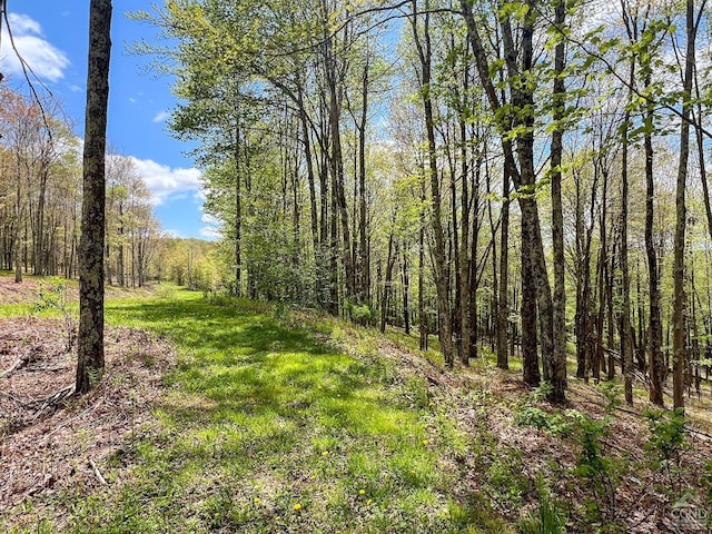 0 State Highway 28, Andes, NY 13731 - photo 23