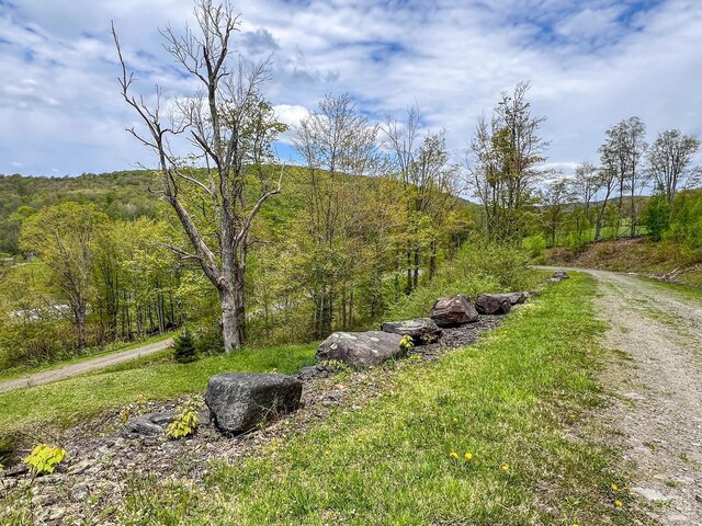 0 State Highway 28, Andes, NY 13731 - photo 15