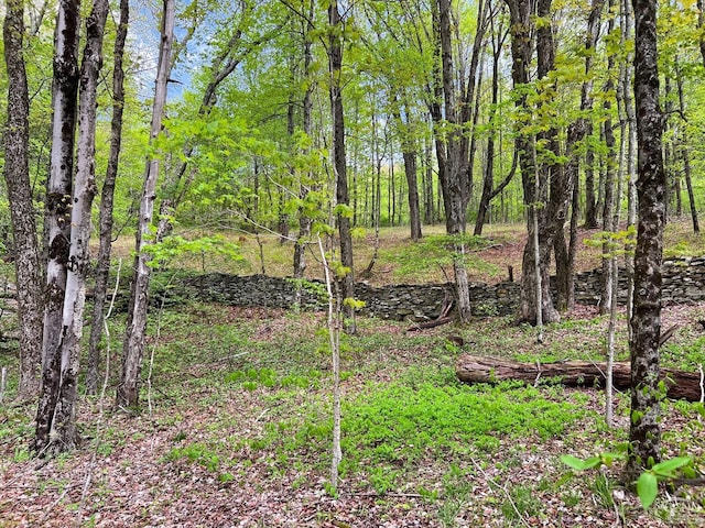 0 State Highway 28, Andes, NY 13731 - photo 32