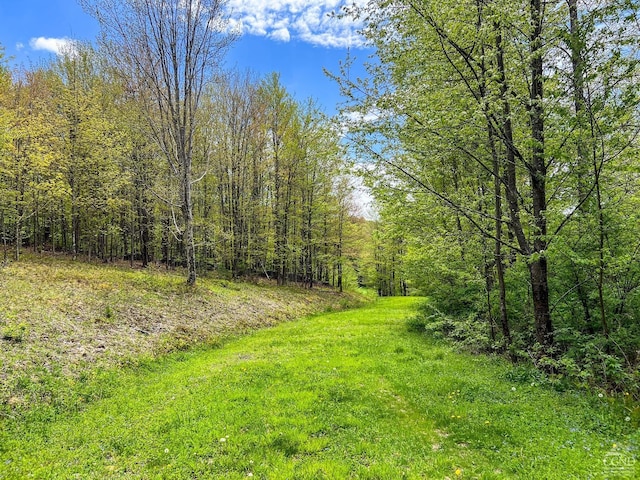 0 State Highway 28, Andes, NY 13731 - photo 28