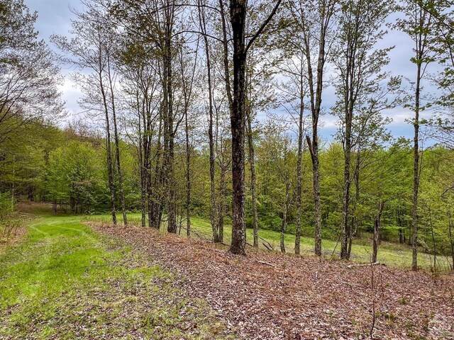 0 State Highway 28, Andes, NY 13731 - photo 73