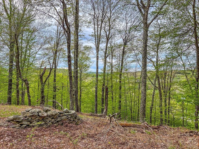 0 State Highway 28, Andes, NY 13731 - photo 80