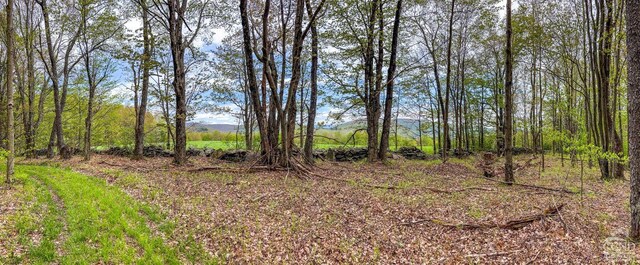 0 State Highway 28, Andes, NY 13731 - photo 57