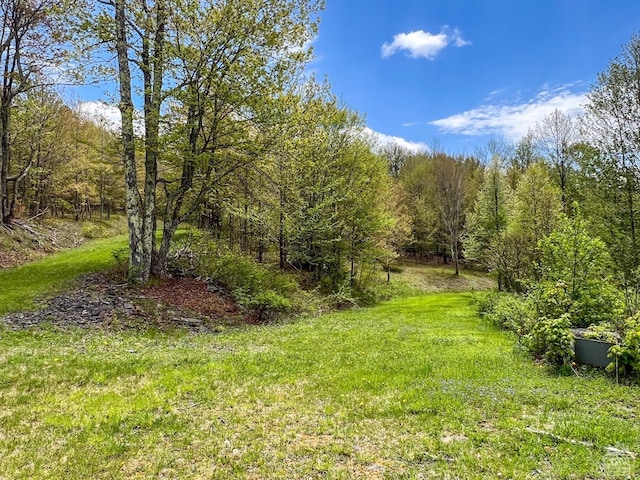 0 State Highway 28, Andes, NY 13731 - photo 27
