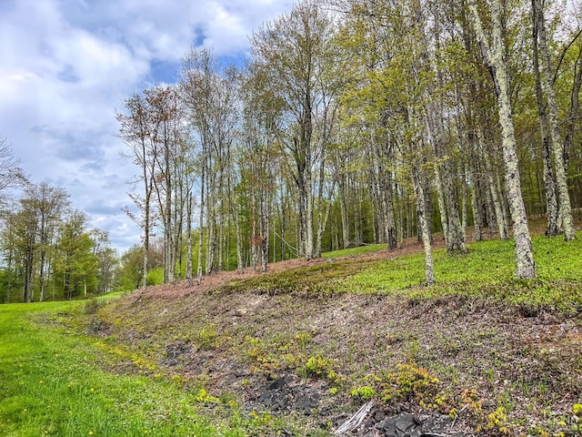 0 State Highway 28, Andes, NY 13731 - photo 40