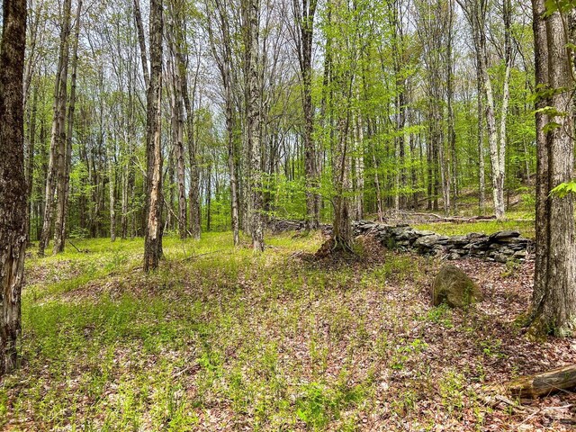 0 State Highway 28, Andes, NY 13731 - photo 76