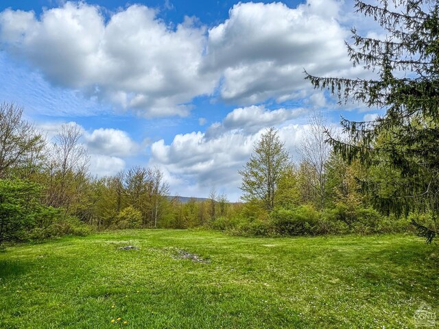 0 State Highway 28, Andes, NY 13731 - photo 65