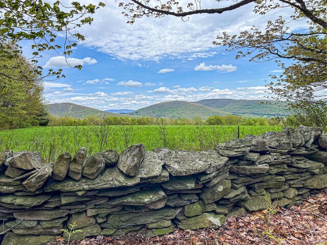0 State Highway 28, Andes, NY 13731 - photo 59