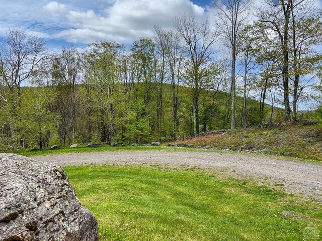0 State Highway 28, Andes, NY 13731 - photo 10