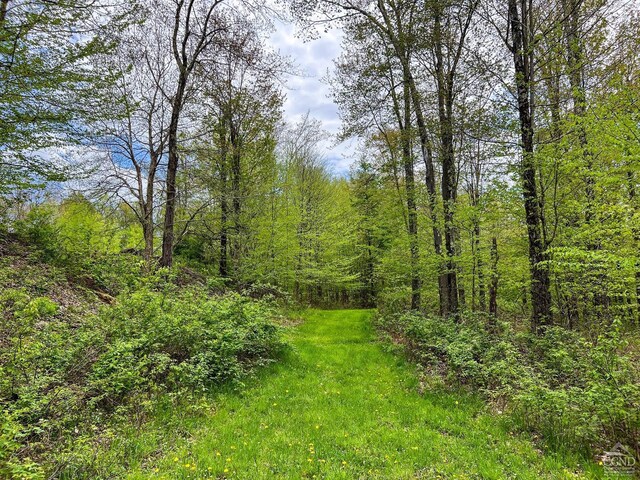 0 State Highway 28, Andes, NY 13731 - photo 44