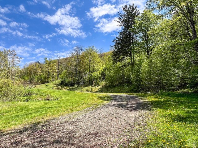 0 State Highway 28, Andes, NY 13731 - photo 3